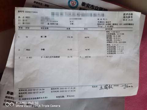 journal_insert_pic_1719677669