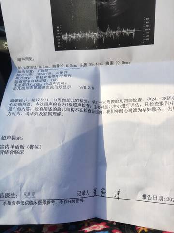 journal_insert_pic_1690590689