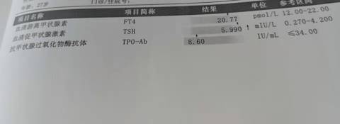 journal_insert_pic_1681030599