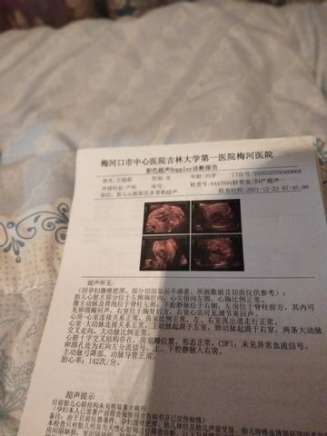 journal_insert_pic_1685608479