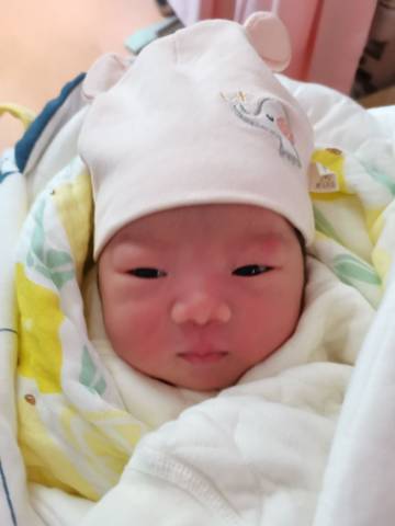 journal_insert_pic_1689708659