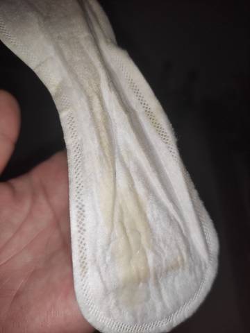 journal_insert_pic_1682532180