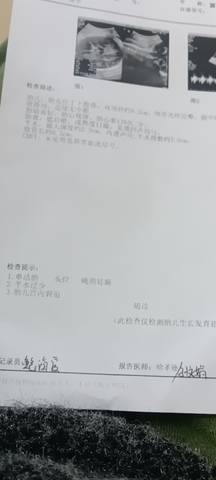 journal_insert_pic_1689040844