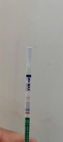 journal_insert_pic_1684784085