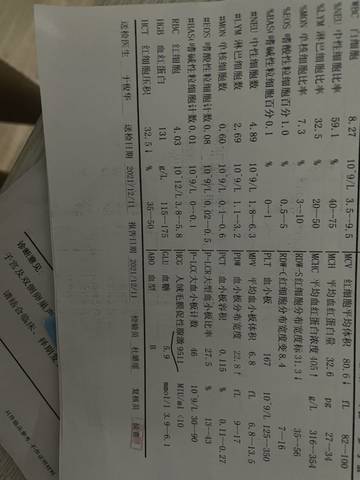 journal_insert_pic_1678035214