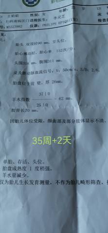 journal_insert_pic_1679900898