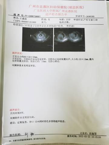 journal_insert_pic_1741081408