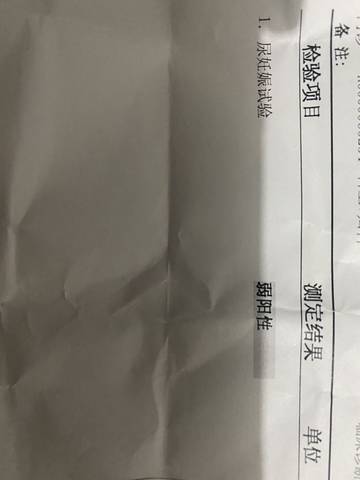 journal_insert_pic_1681657898