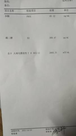 journal_insert_pic_1684816049