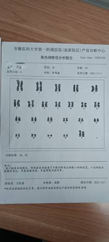 journal_insert_pic_1684615865