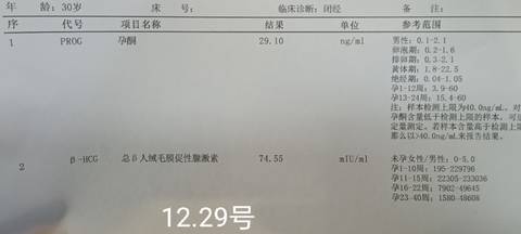 journal_insert_pic_1689516981