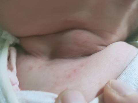 journal_insert_pic_1682958507