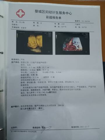 journal_insert_pic_1681675239