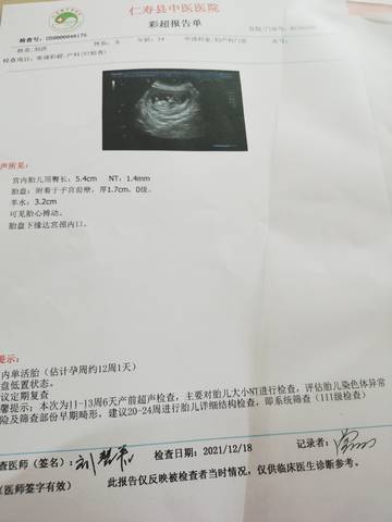 journal_insert_pic_1682095559