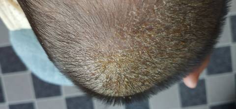 journal_insert_pic_1720037006