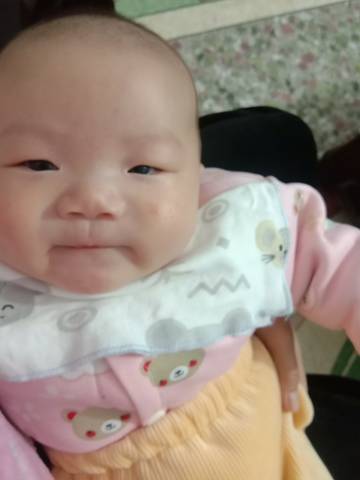 journal_insert_pic_1682106639