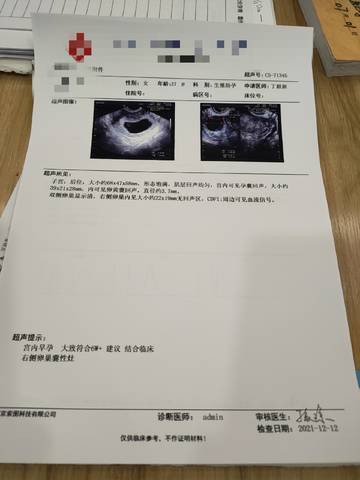 journal_insert_pic_1678592078