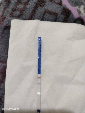 journal_insert_pic_1683404964