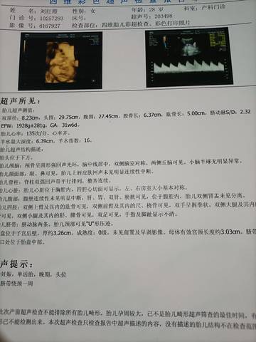 journal_insert_pic_1673055109