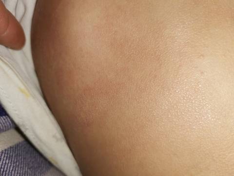 journal_insert_pic_1674357624