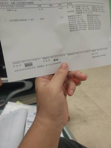 journal_insert_pic_1681352127