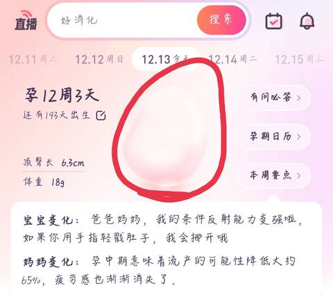 journal_insert_pic_1678899945