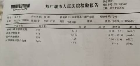 journal_insert_pic_1677515930