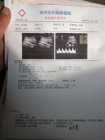 journal_insert_pic_1675959592