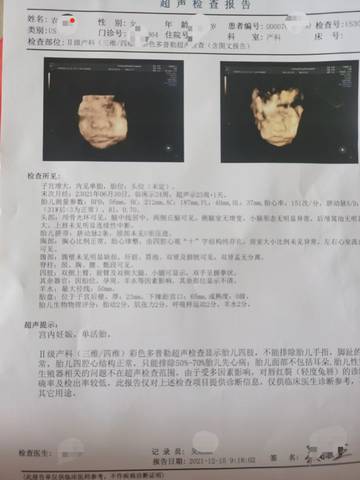 journal_insert_pic_1681273858