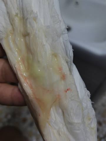 journal_insert_pic_1675834358