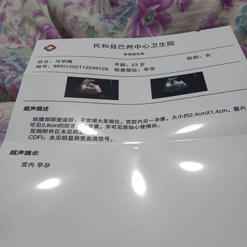 journal_insert_pic_1685481296