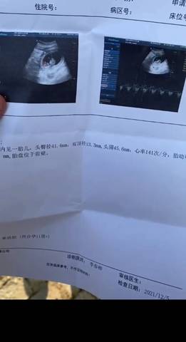 journal_insert_pic_1683736054