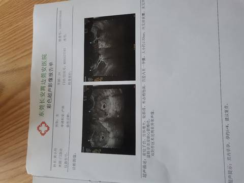journal_insert_pic_1689430582