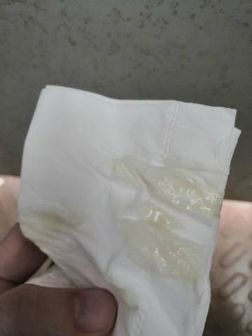 journal_insert_pic_1676080213