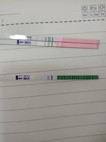 journal_insert_pic_1673226602