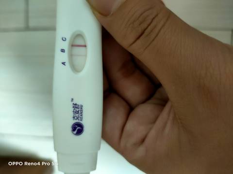 journal_insert_pic_1674581290