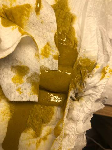 journal_insert_pic_1681750120