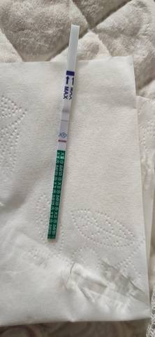 journal_insert_pic_1678322456