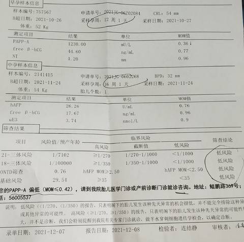 journal_insert_pic_1684165092