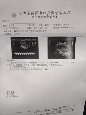 journal_insert_pic_1685511460