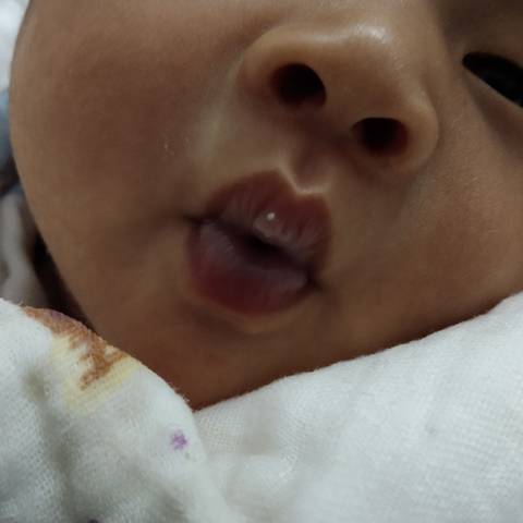 journal_insert_pic_1681792039