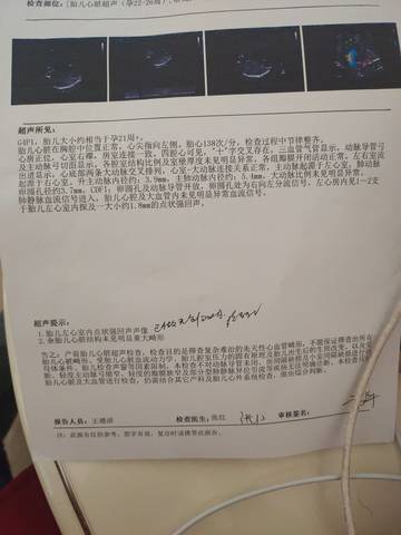 journal_insert_pic_1689430209