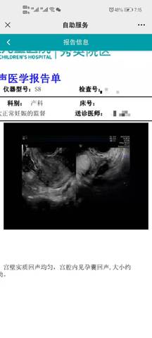 journal_insert_pic_1686647321