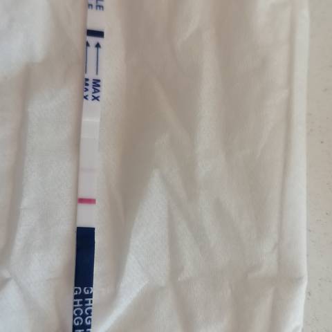 journal_insert_pic_1684896961