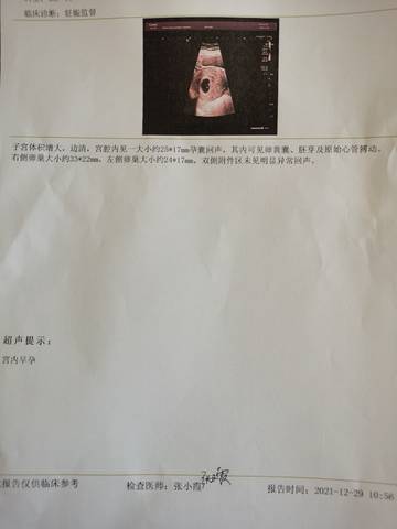 journal_insert_pic_1688307150