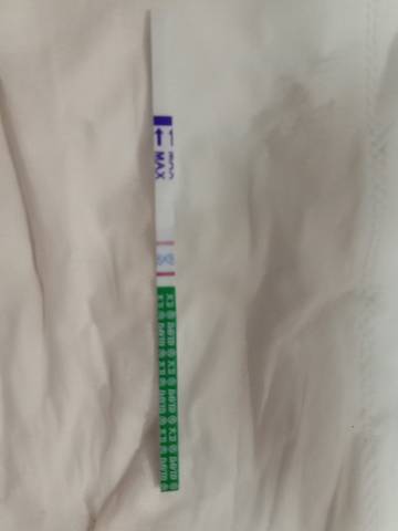 journal_insert_pic_1674636685