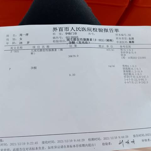 journal_insert_pic_1682505467