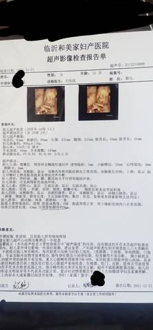 journal_insert_pic_1685704288