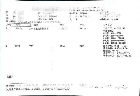 journal_insert_pic_1679171570