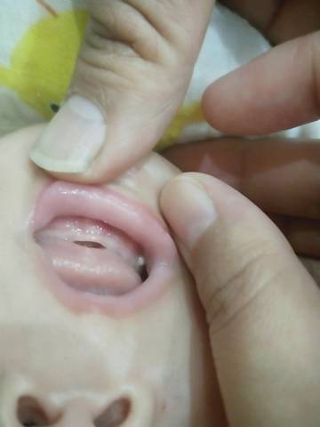 journal_insert_pic_1683250661